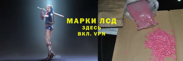 амф Гусиноозёрск
